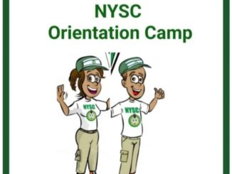 Picsart 25 11 27 15 37 55 140