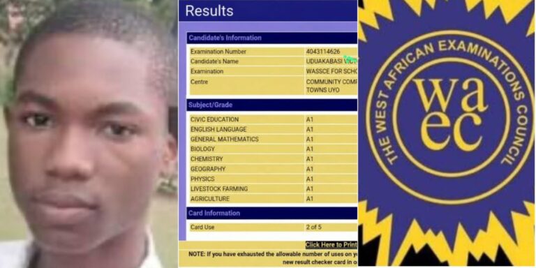 2026 WAEC: Public School Student Makes Waves With 9 A1s