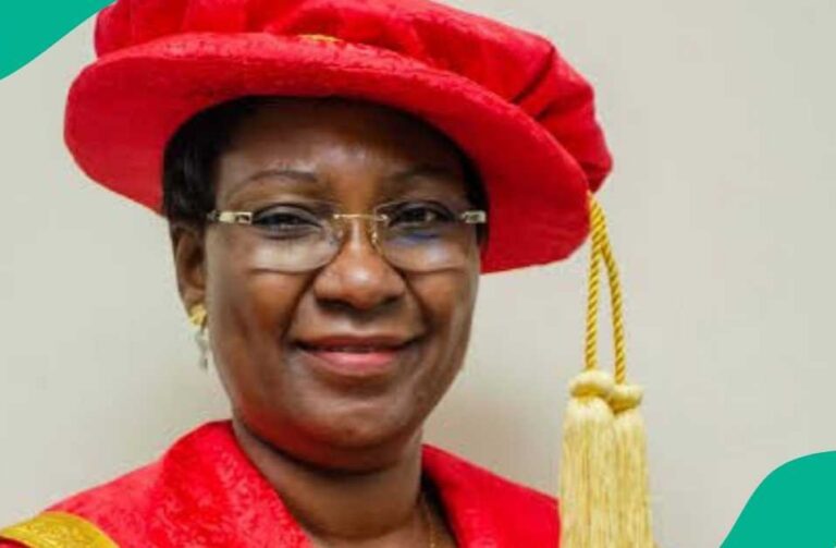 Ex-LASU VC Says Public Universities Need ₦1m Annual Tuition to Survive