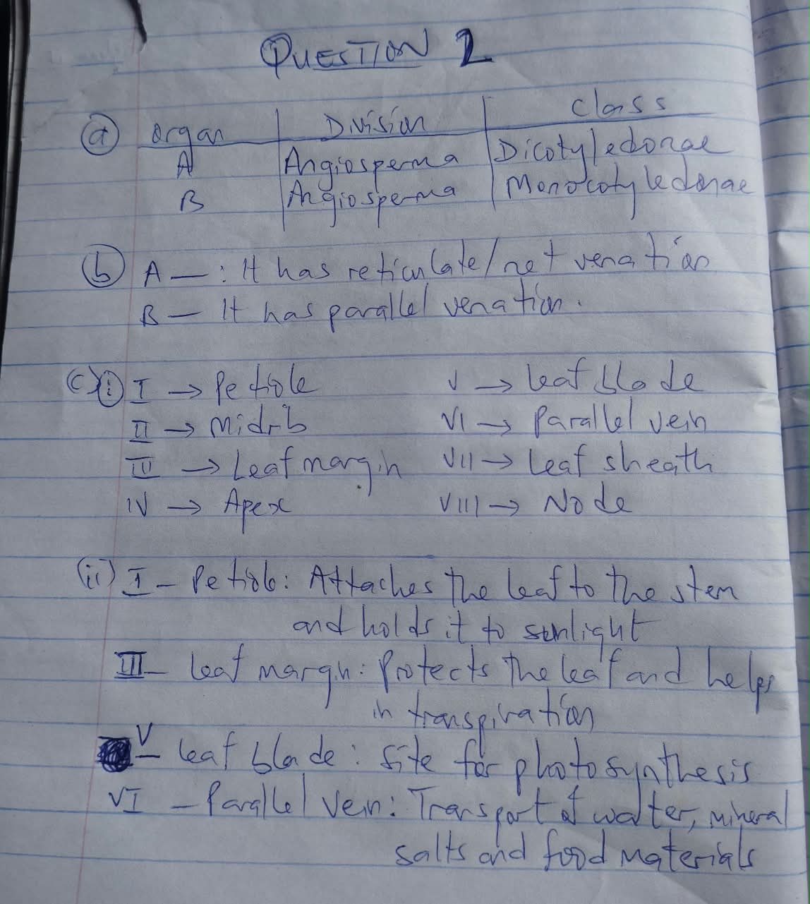 Waec Gce 2026 Biology Practical Answers | Secure Now
